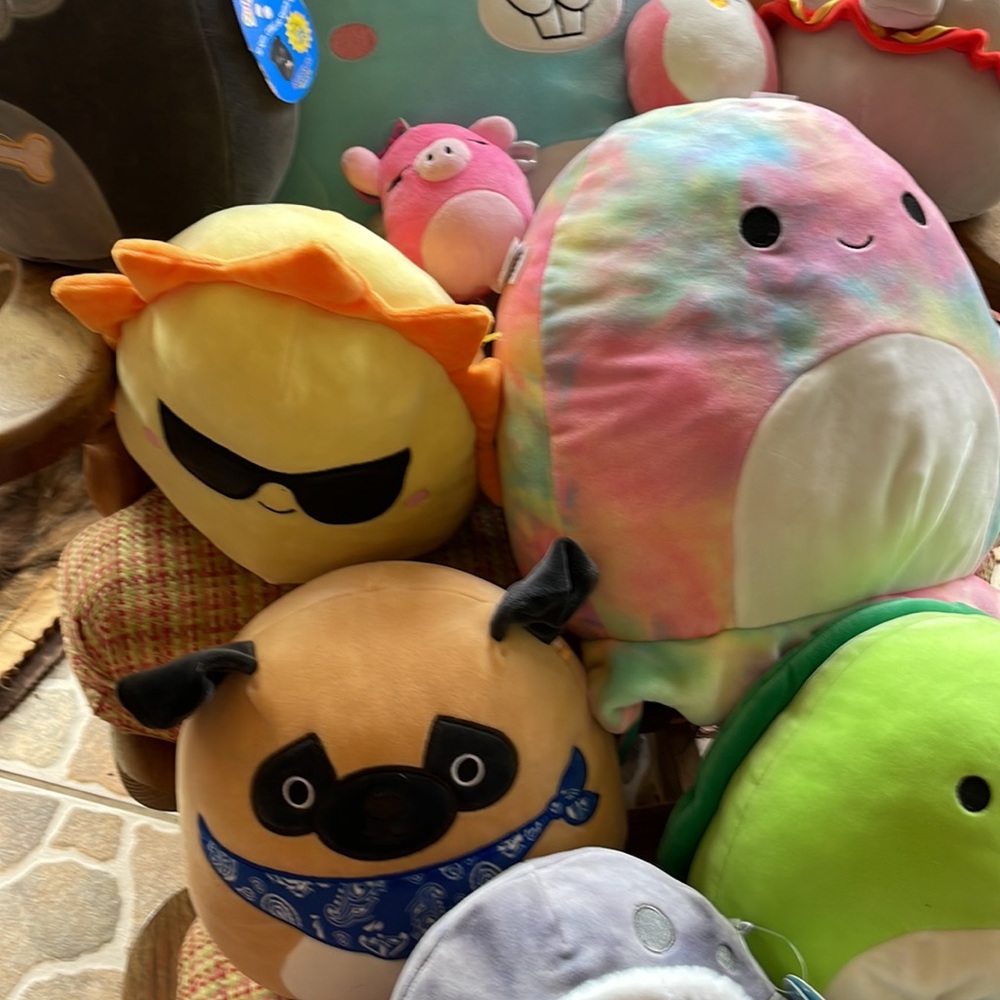 Squishmallows! - Picture 3 of 6
